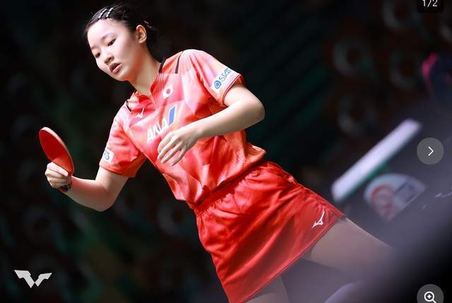 经验丰富的 经验丰富的