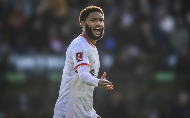 城市与自然 城市与自然