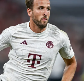 深度解析国 深度解析国