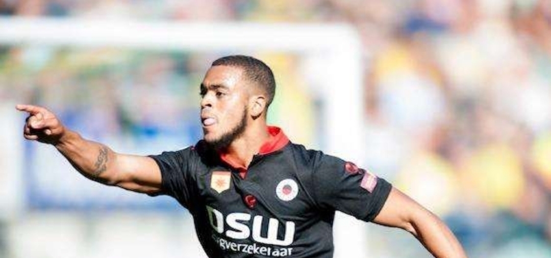 便展示了体 便展示了体